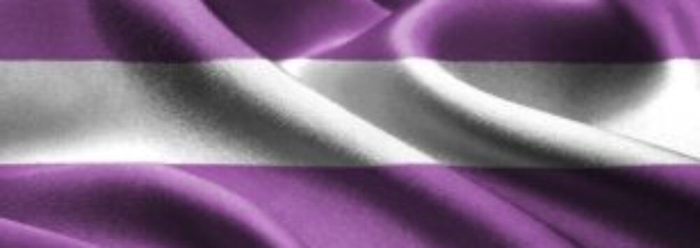 TranSanctuary